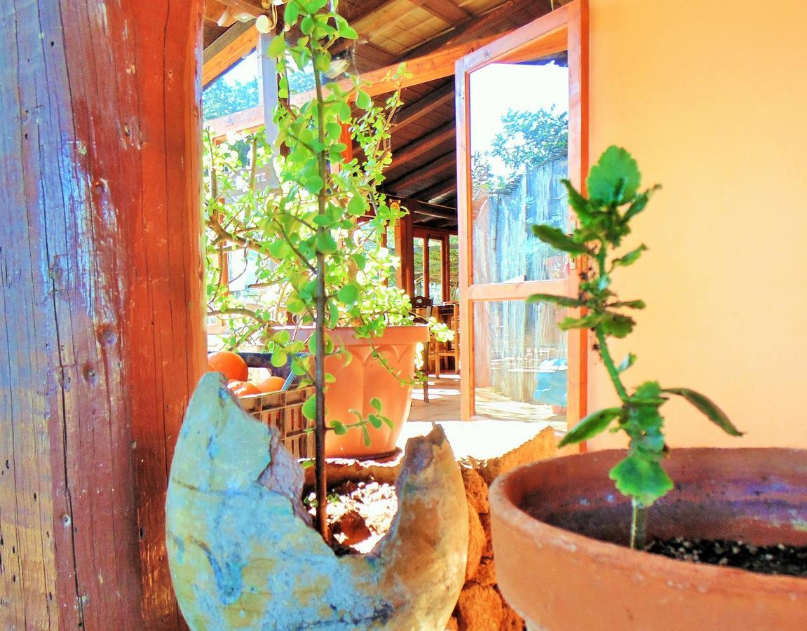 Agriturismo Calamosche Hotell Noto Eksteriør bilde